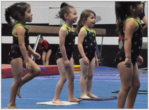 Toddler Gymnastics Classes
